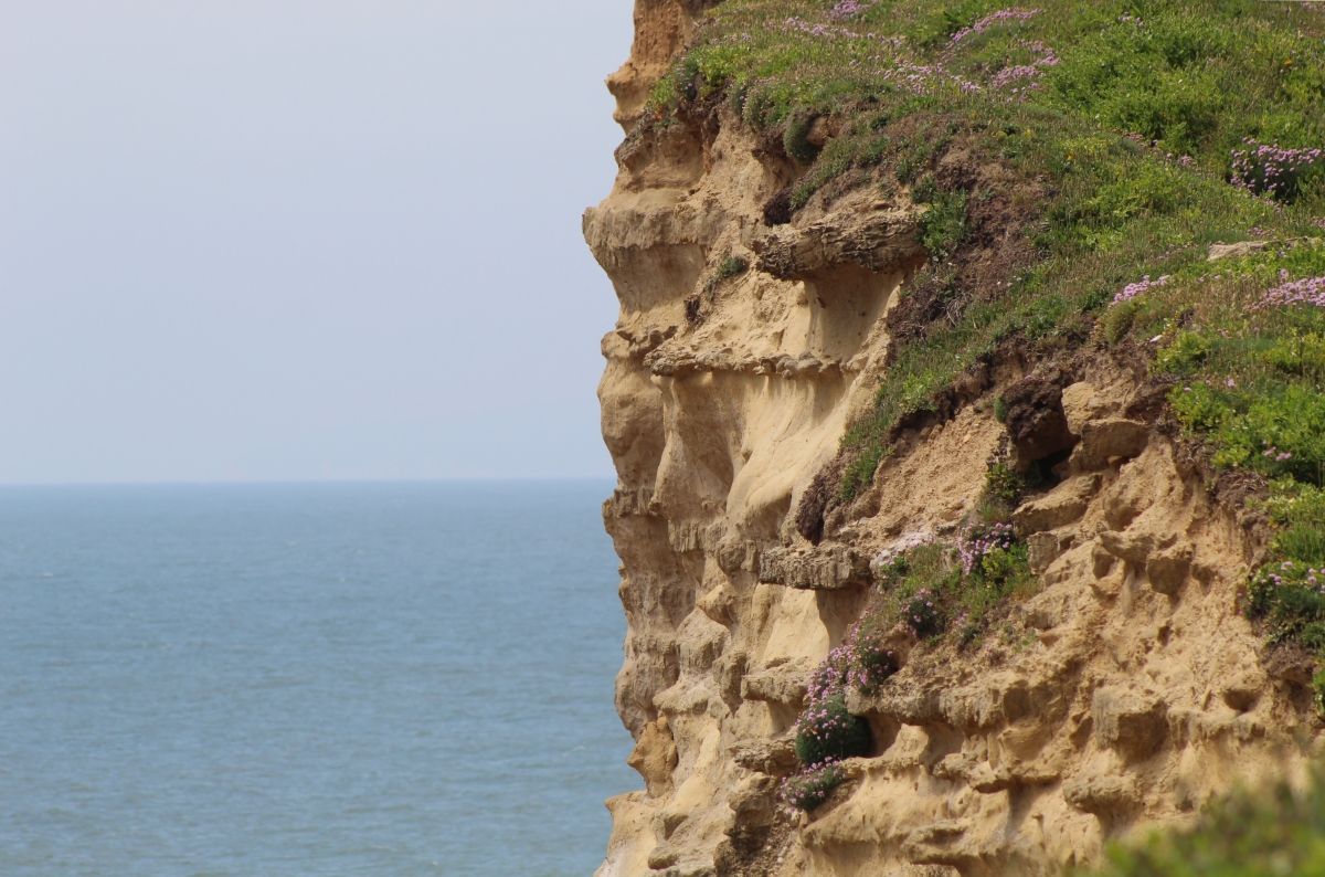 Cliffs and Ocean